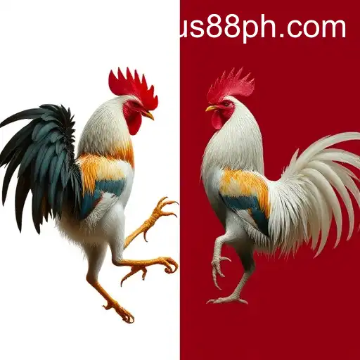 Exploring Online Sabong at Pegasus88 Casino